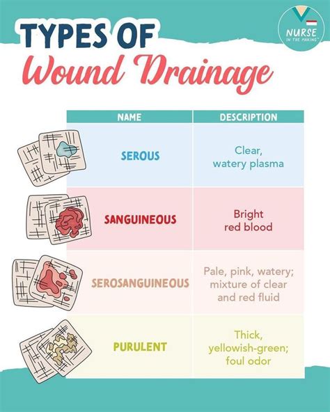 purulent drainage vs serous|How To Recognize Different Types Of Wound Drainage